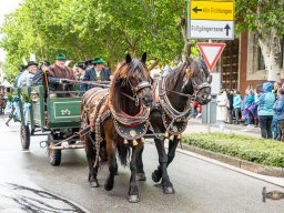 2025_05_25_festsonntag 047